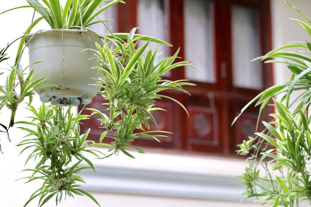 Long Life Riverside Hotel Hoi An Exterior photo